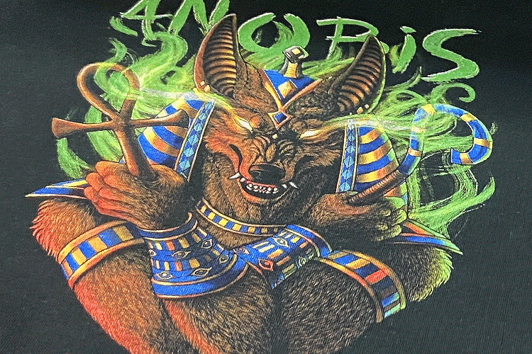 Vivid DTG-printed Anubis design on black T-shirt with rich colors and sharp details